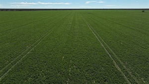 Western country with significant potential listed for $520/acre | Photos