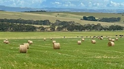 Tree change pivot as hot demand for lifestyle blocks heads further inland