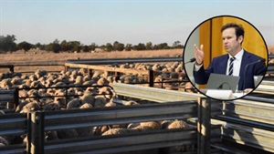Federal govt under fire for 'handpicking' peak body for huge funding grant