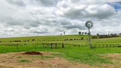 Renton East: versatile agricultural property offering plenty of potential