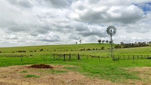 Renton East: versatile agricultural property offering plenty of potential