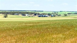 Sweet limestone farmland close to fast developing feed grain markets