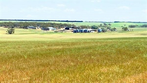 Sweet limestone farmland close to fast developing feed grain markets