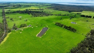Dorian on the market as premium, well-watered Gippsland grazing country