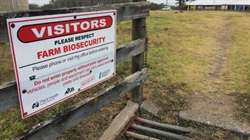 'Inconsistent' DAFF enforcement exposing ag to rising biosecurity risks: audit
