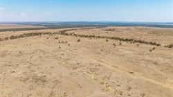 Cattle property Carnangarra sold above reserve on innovative online auction