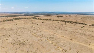 Cattle property Carnangarra sold above reserve on innovative online auction