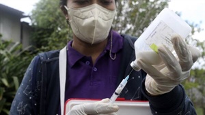 Foot and mouth, lumpy skin threat intensifies; what's driving the risk