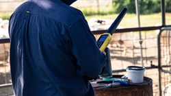 State by state: eID funding concerns grow as producers foot the bill