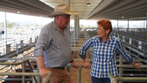 Barnaby Joyce joins Pauline Hanson, citing 'incongruous' Nationals relationship