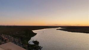 The 355 gigalitre question: will farmers pay for Labor's water shortfall?