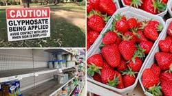 Ghosts of agricultural past: 10 scandals that defined Australian farming