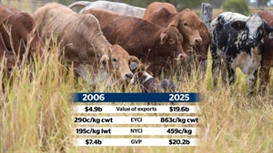 The $20 billion question: producers weigh in on the beef levy's true cost