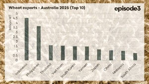 Top exports: while wheat diversifies, barley doubles down on one major buyer