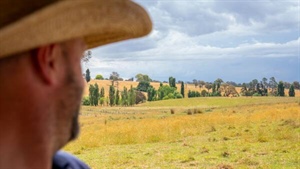 Billions on offer from Canberra, but farmers leaving millions on the table