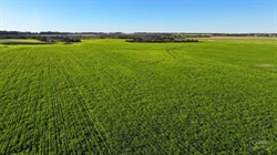 Rural property market on fire with The Oaks making a record $53m | Video