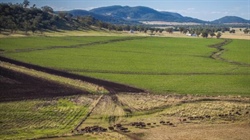 Premium Liverpool Plains property offers versatile farming, grazing | Video
