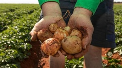 Hillston Farm with 1433 acres of irrigation and 1007ML of water | Photos