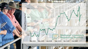 Wake-up call for Australia: fake news sends US cattle futures into tailspin