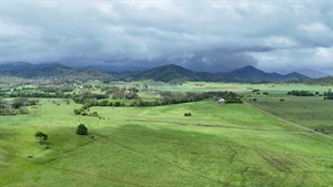 Lirossa Valley a quality, high rainfall grazing property for 300 breeders