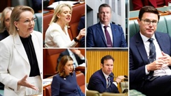 Nats throw 'curveball' at Ley over hate speech, guns: ministries in question