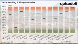 Southern processors take the lead in early 2026 as northern supply slumps
