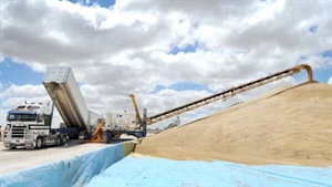 Beyond the glut: GrainCorp's profit woes go deeper than global grain prices