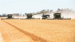 Premier dryland cropping aggregation across 6104 productive acres | Photos