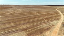 Northern Mallee farm offers large scale for new or existing croppers