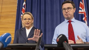 Back from the brink: Coalition to stitch itself back together again