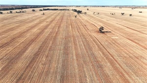 Large cropping farm in heart of the Mallee passed in for just under $3m