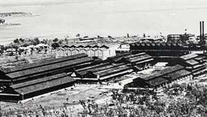 Link to Vestey's beef empire with sale of Top End irrigation block