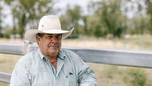 NT cattleman waiting on $50m as live export class action drags into 15th year