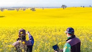 $100 billion reasons to nominate Aussie ag's movers, shakers and change makers