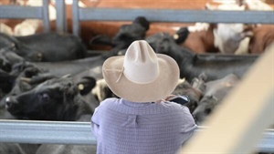 Stagnating ag productivity: farmers may face bigger R&D levies to fix it