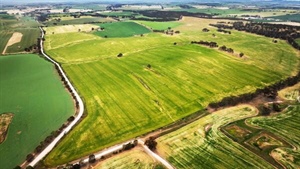 Another solid auction price paid for SA's tightly held Mid North farm