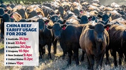'Testing year': Australia to hit China beef tariff wall in just two months