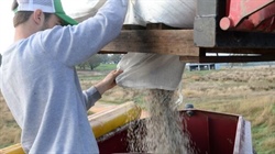 Nitrogen shortage: calls to ease restrictions on explosive fert ingredient