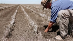 Australia's best: premium Jimbour Plain farming country hits the market