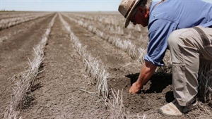Australia's best: premium Jimbour Plain farming country hits the market