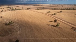 Premium country with excellent reputation for crops, livestock | Video