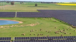 Capital gains tax break proposed for foreign owners selling solar, wind farms