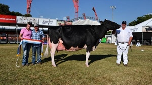 'Started over a couple of rum cans': best mates claim Sydney dairy interbreed