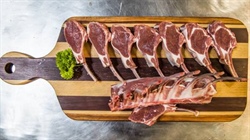 Easter squeeze: how tighter sheep supply has pushed key indicators upwards