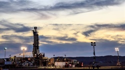 High stakes race for cheap domestic urea: why we wait for Neurizer to rise