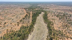 The Twelve Mile offers significant mulga reserve feeds ideal for a dry time