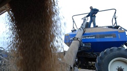 'Financially irrational': how forgotten lessons from past fuelled supply crisis