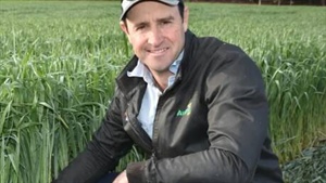 "Worse than 2021" as growers push for ZP 50 bait to battle mouse plague