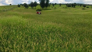 Sweet, well-improved grazing country with a highway frontage