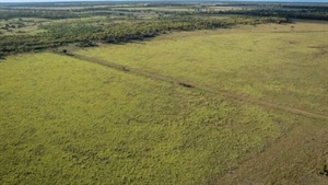 Western Downs backgrounding, finishing property sold under hammer | Video